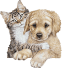 Gif of cat with paws around puppy