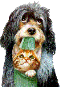 Animated gif of dog holding sock with kitten in it