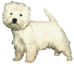 Animated gif of white dog wagging its tail